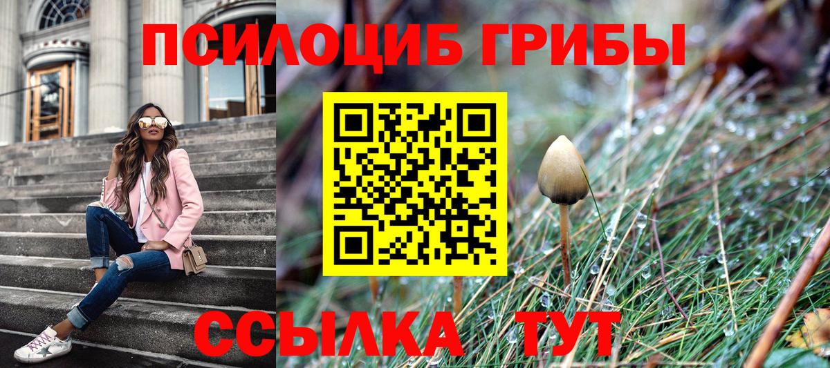 Якутск  Псилоцибиновые грибы Magic Shrooms  Вход с VPN 