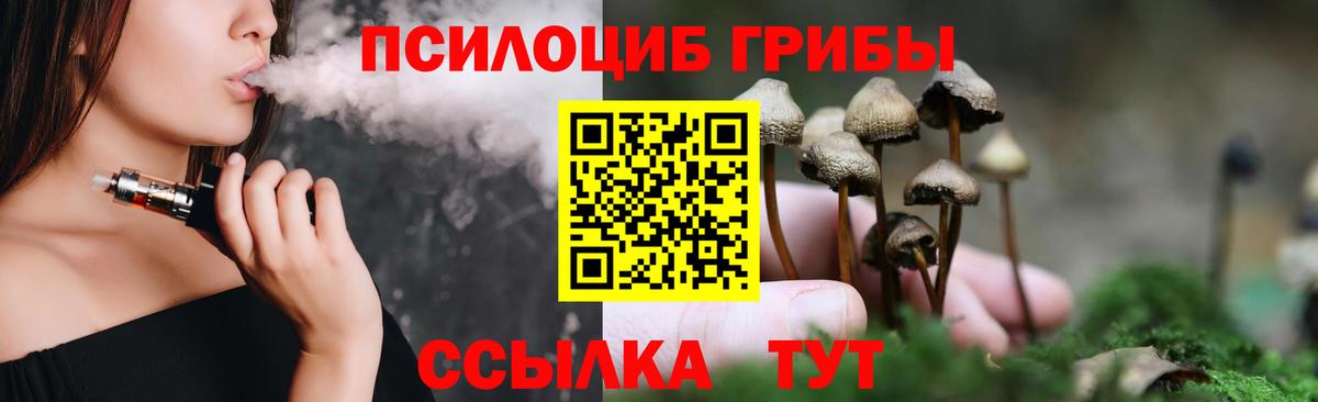 Галлюциногенные грибы Psilocybine cubensis Якутск